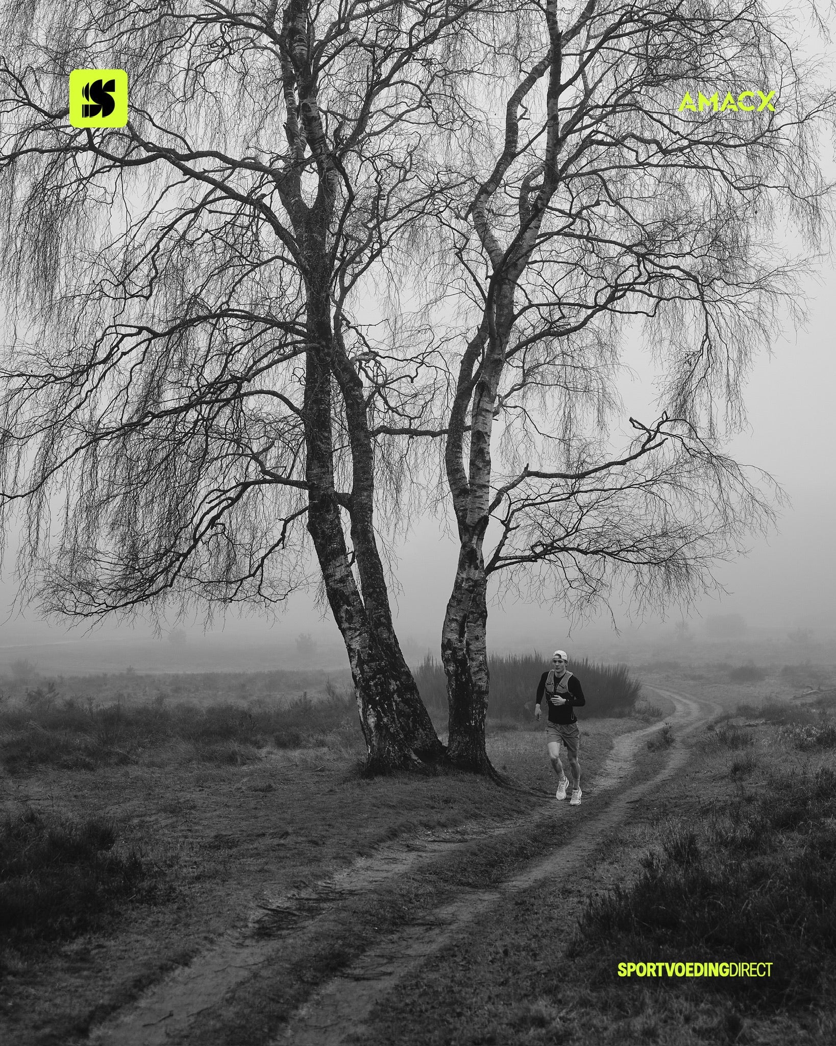 Glycemische index uitgelegd: hebben ‘slow’ of ‘fast’ carbs de voorkeur?